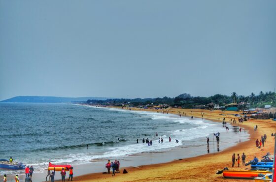 Simply North Goa