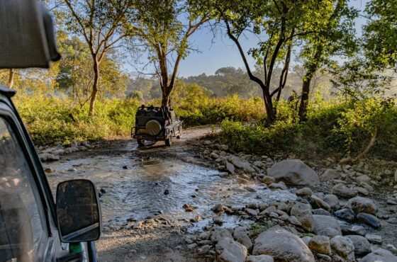 Glimpses Of Eastern Himalayas